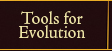 Tools for Evolution The Jewelry Factory